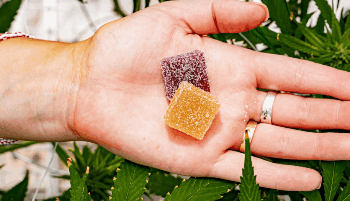 the-buzz-on-jelly-thc-gummies-a-review-you-cant-miss